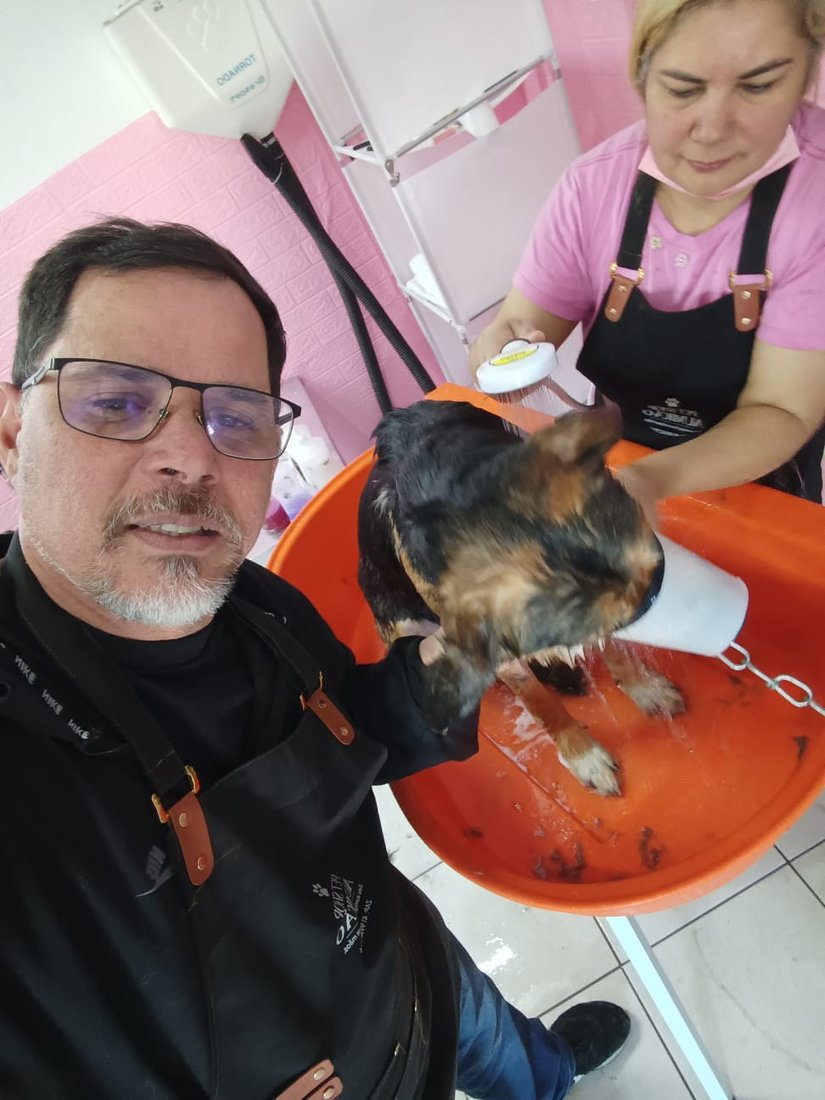 Tosadora dando banho em pastor-alemão na banheira laranja