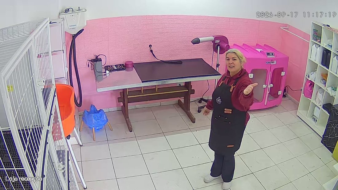 Tosadora no salão do Pet Shop Aumicão, entre a cabine de secagem e a mesa de tosa
